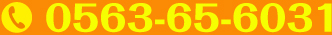 0563-65-6031